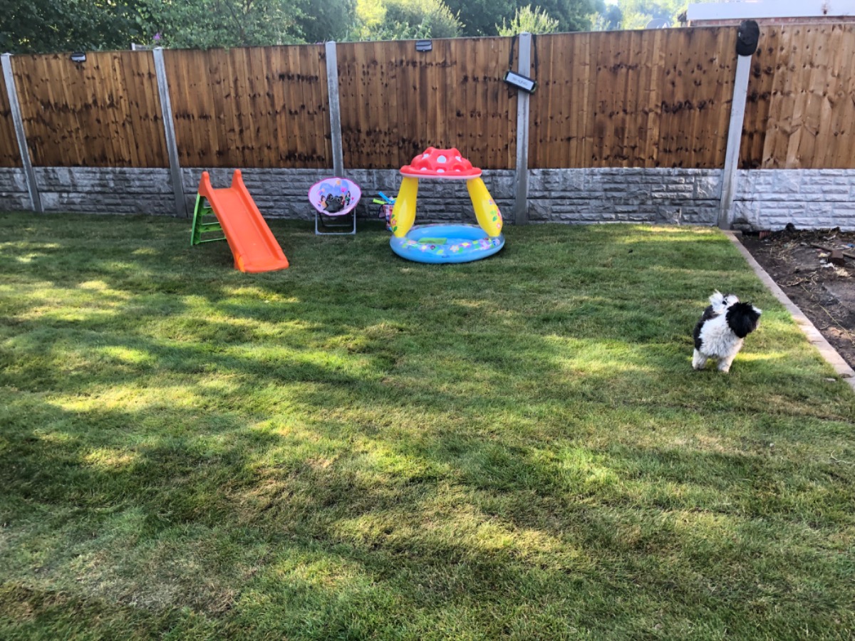 Driveway Specialist: Image 55